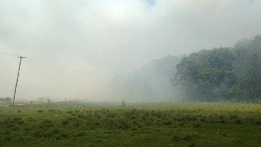 Incendio en el basural del frente de Ruta 11: Bomberos de Madariaga y 