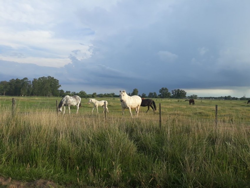 Alerta meteorolgico de corto plazo para Madariaga y la costa por torm