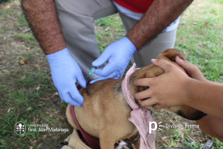 Hoy ltimo da vacunacin gratuita en el barrio Belgrano