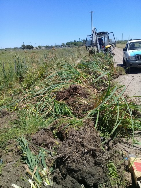 Polvo de piedra, bacheo y limpieza de canal a cielo abierto