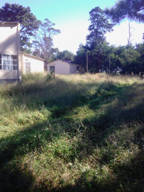 Iniciaron con los trabajos de mantenimiento en los establecimientos ed