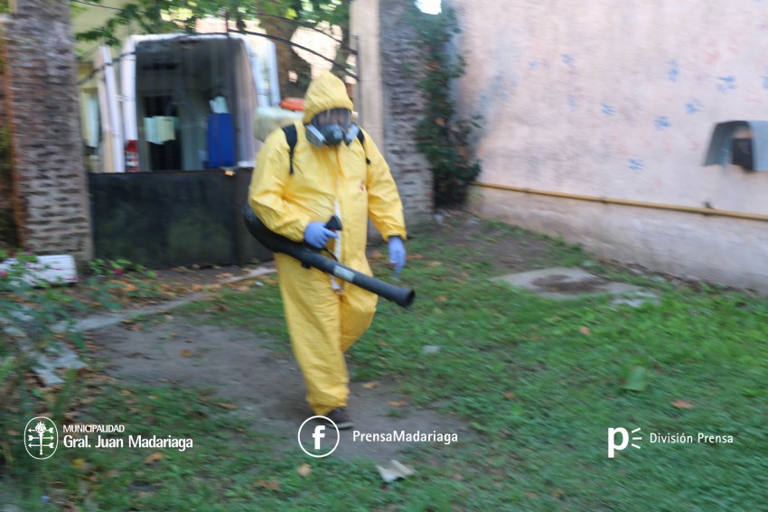 Fumigacin preventiva en Escuelas y Jardines