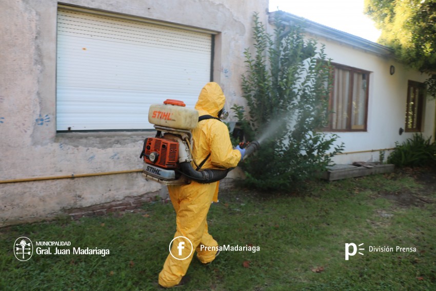 Fumigacin preventiva en Escuelas y Jardines