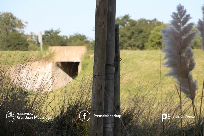 Iniciaron las tareas del reemplazo de líneas de media tensión en el ba