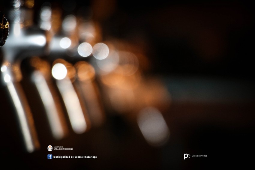 La Fiesta de San Patricio convoc a ms de 400 personas