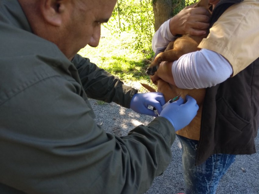 Vecinos de Macedo vacunaron sus mascotas en la Delegacin