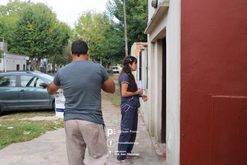 Inici la campaa de control de foco ante la aparicin de un murcilag