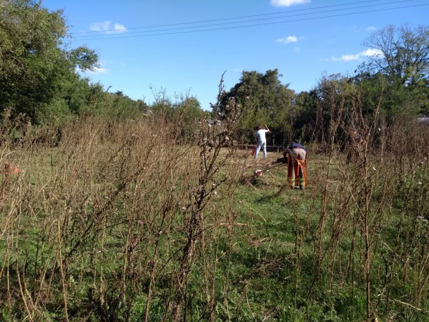 Realizaron tareas de limpieza y recuperacin del Embarcadero de Macedo