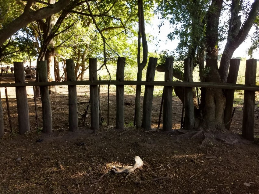 Realizaron tareas de limpieza y recuperacin del Embarcadero de Macedo