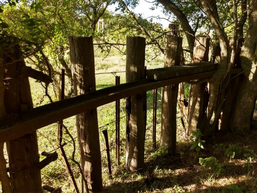 Realizaron tareas de limpieza y recuperacin del Embarcadero de Macedo