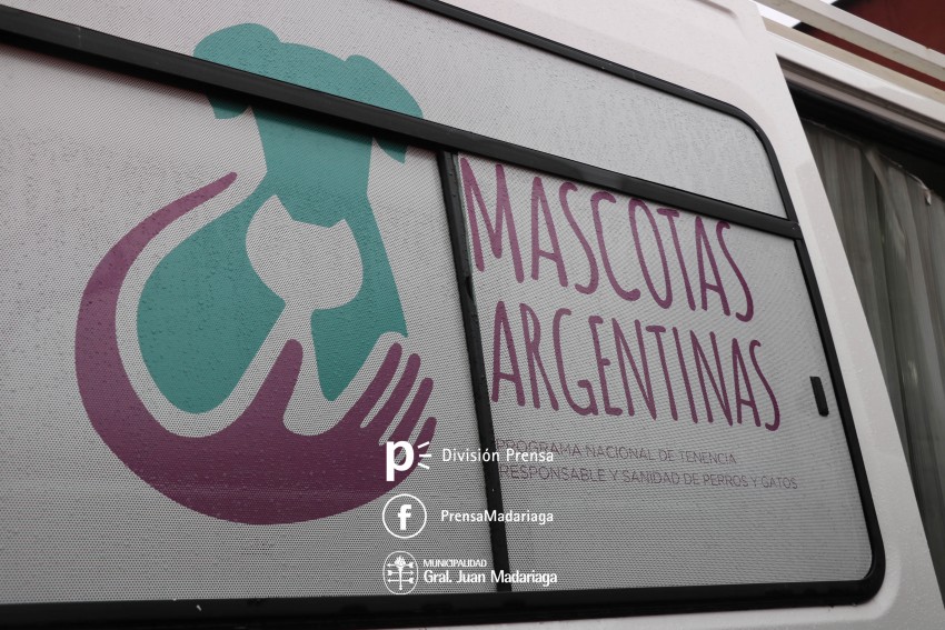 El quirfano mvil de Mascotas Argentinas inici con la primera jornad