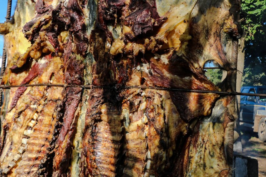 El Pastel de Kiwi y el almacn El Omb son las novedades de la fiesta