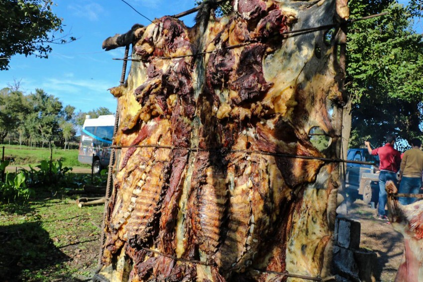 El Pastel de Kiwi y el almacn El Omb son las novedades de la fiesta