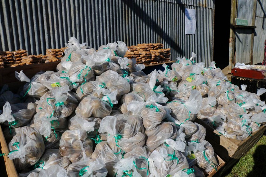 El Pastel de Kiwi y el almacn El Omb son las novedades de la fiesta