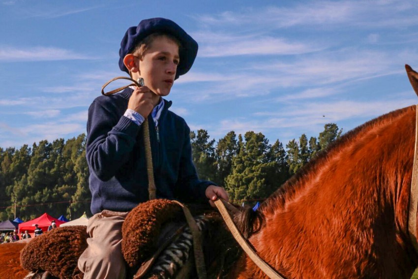 El Pastel de Kiwi y el almacn El Omb son las novedades de la fiesta