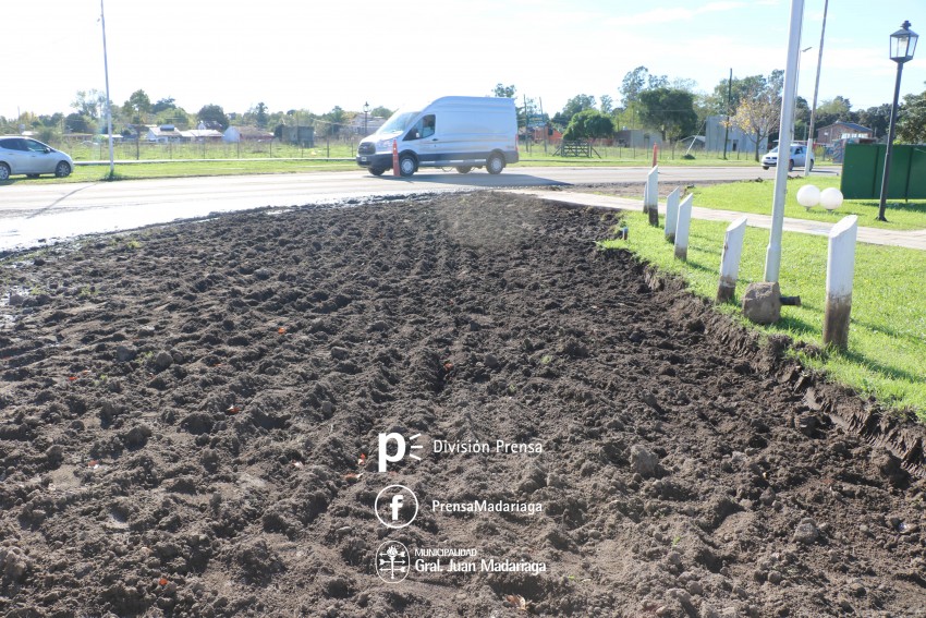 Amplan la calzada en Illia y Pellegrini