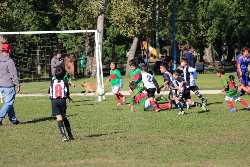 Divisiones infantiles tuvieron su encuentro futbolstico en el Polidep