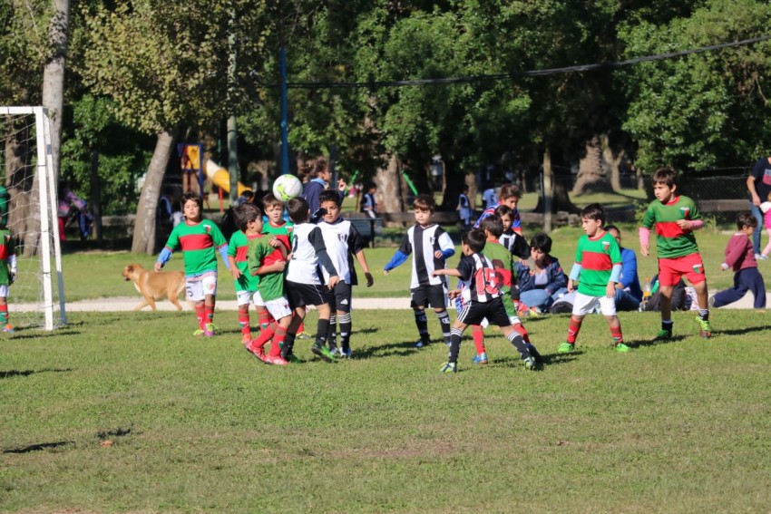 Divisiones infantiles tuvieron su encuentro futbolstico en el Polidep