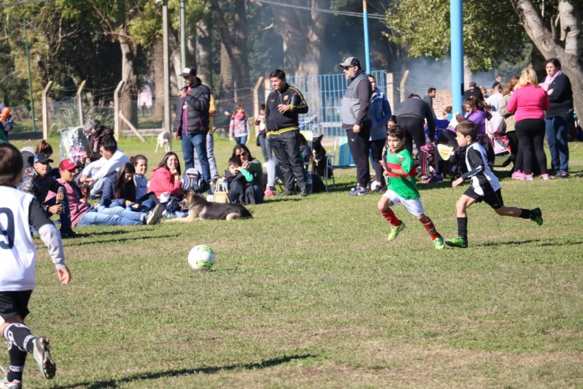 Divisiones infantiles tuvieron su encuentro futbolstico en el Polidep