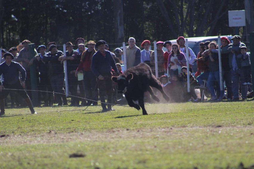 La Fiesta Nacional del Gaucho tuvo su gran 