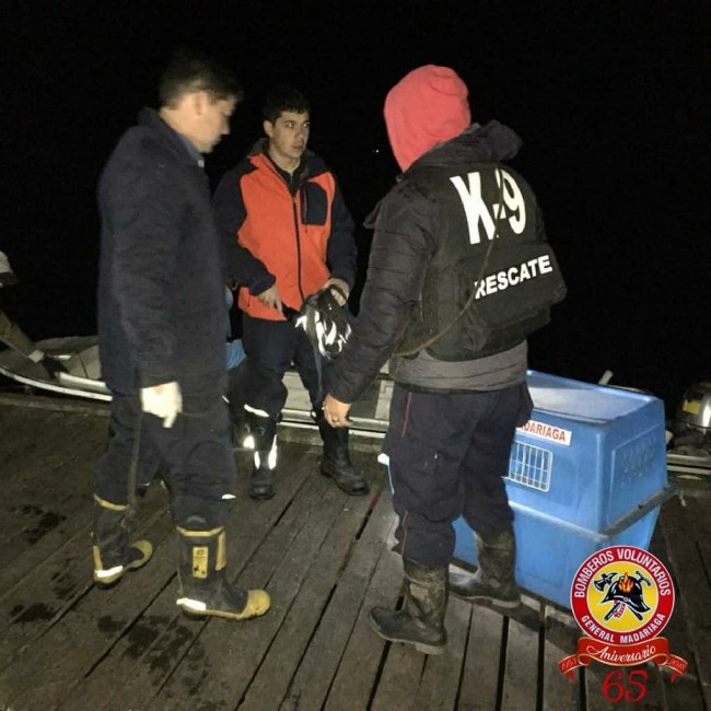 Buscan con drones y canes al desaparecido en la laguna Los Horcones