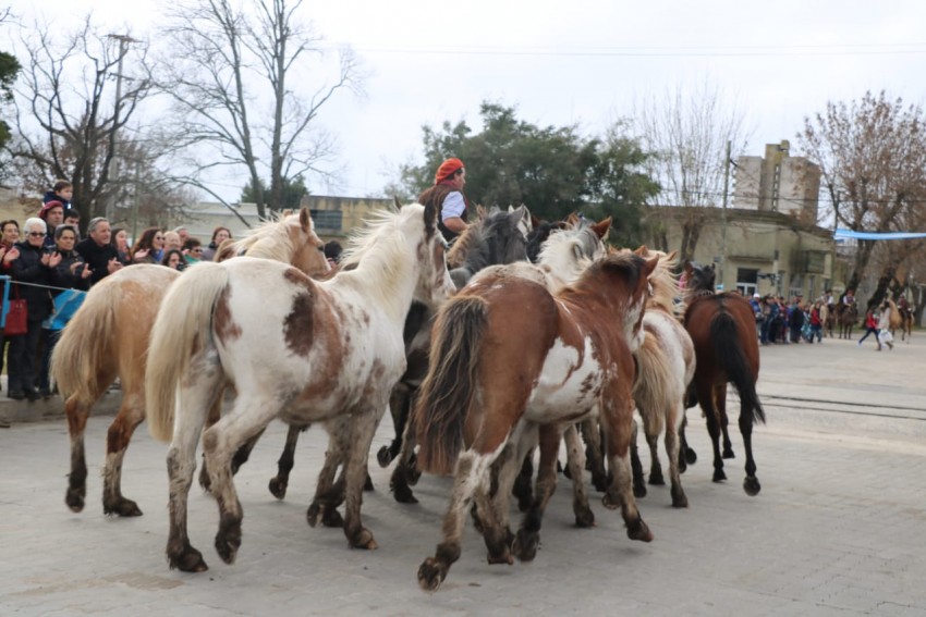 Desfile del 9 de julio en fotos