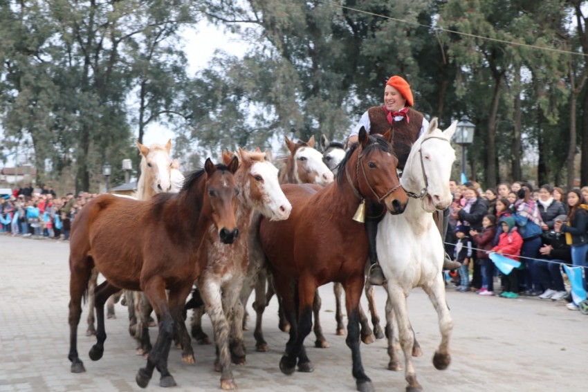 Desfile del 9 de julio en fotos