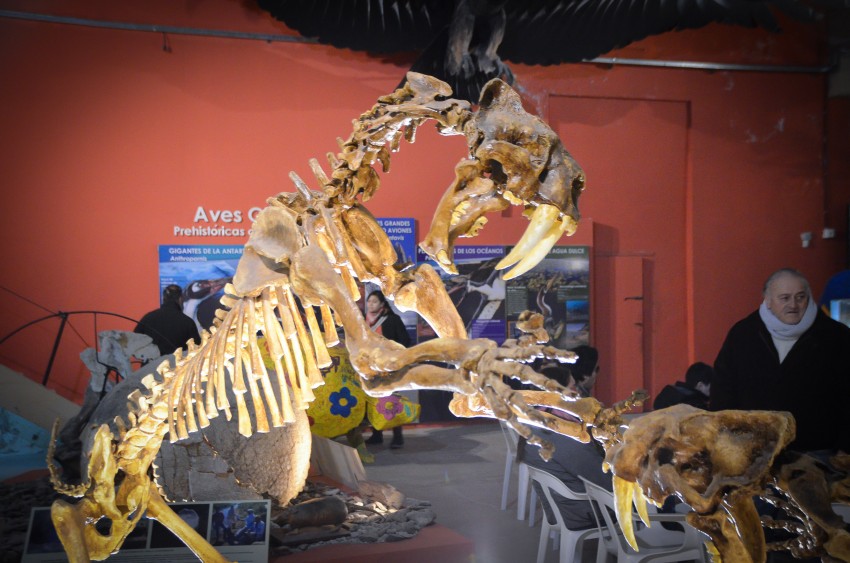 El Tuy Mapu reabri sus puertas