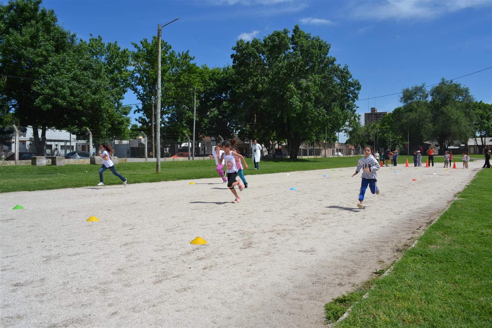Sol, diversin e integracin