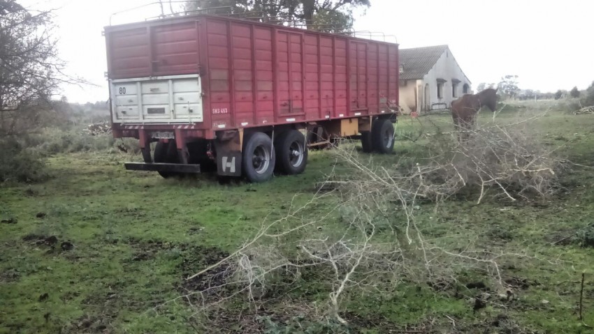 Defensa Civil realiz tareas de limpieza y desmonte en la finca de Rut