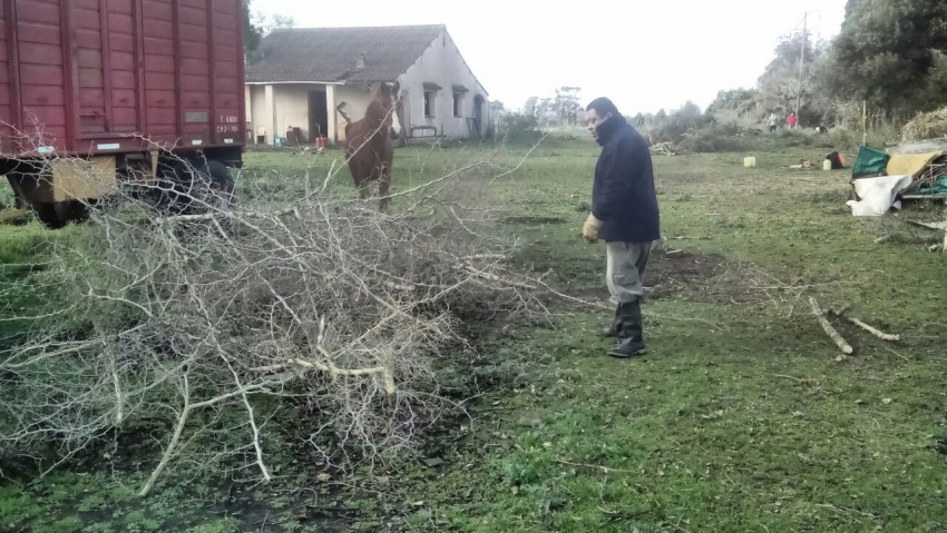 Defensa Civil realiz tareas de limpieza y desmonte en la finca de Rut
