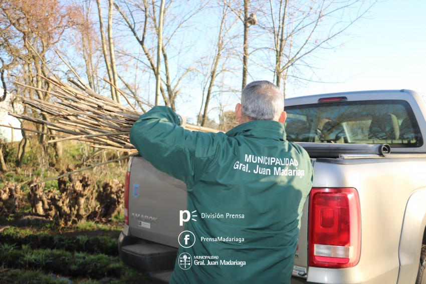 Inici la entrega gratuita de rboles en el Vivero Municipal