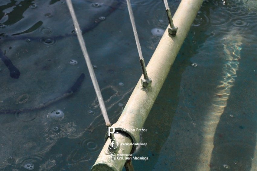 Refaccionaron la fuente de agua del Paseo del Bicentenario