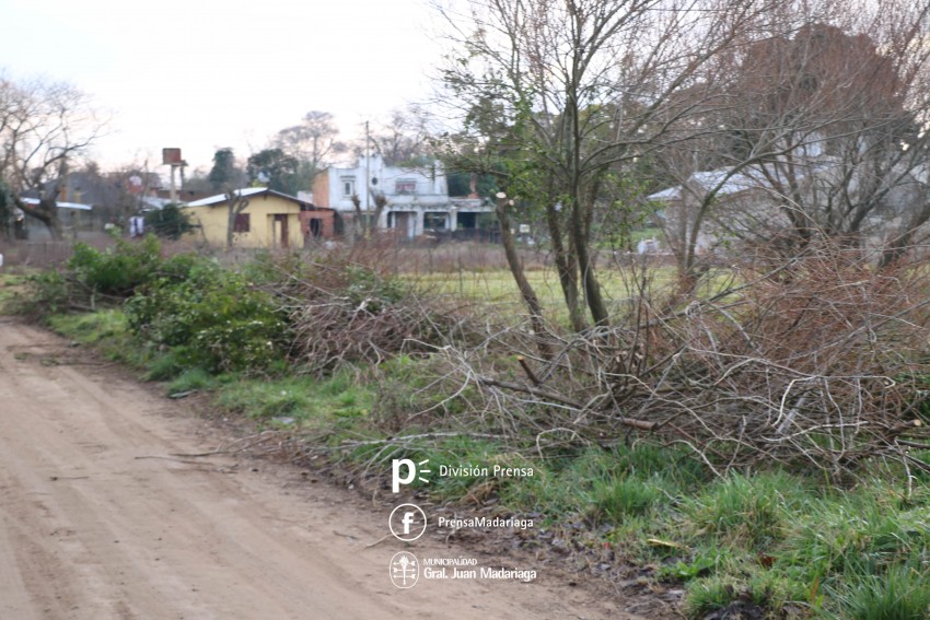 Intensifican la limpieza de terrenos baldos