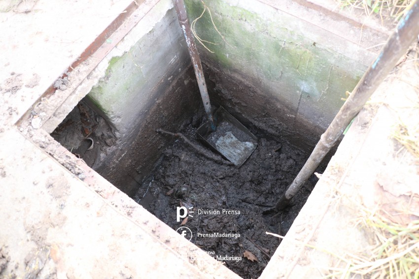 Intensifican la limpieza de terrenos baldos