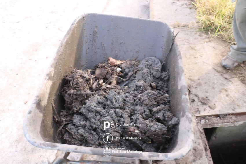 Intensifican la limpieza de terrenos baldos