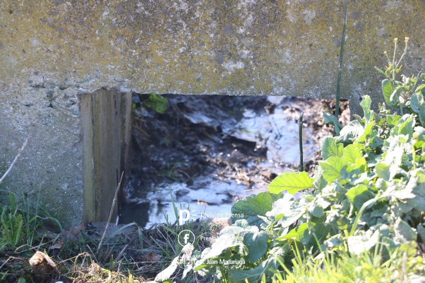 Fueron a destapar una boca de tormenta a pedido de los vecinos y se en