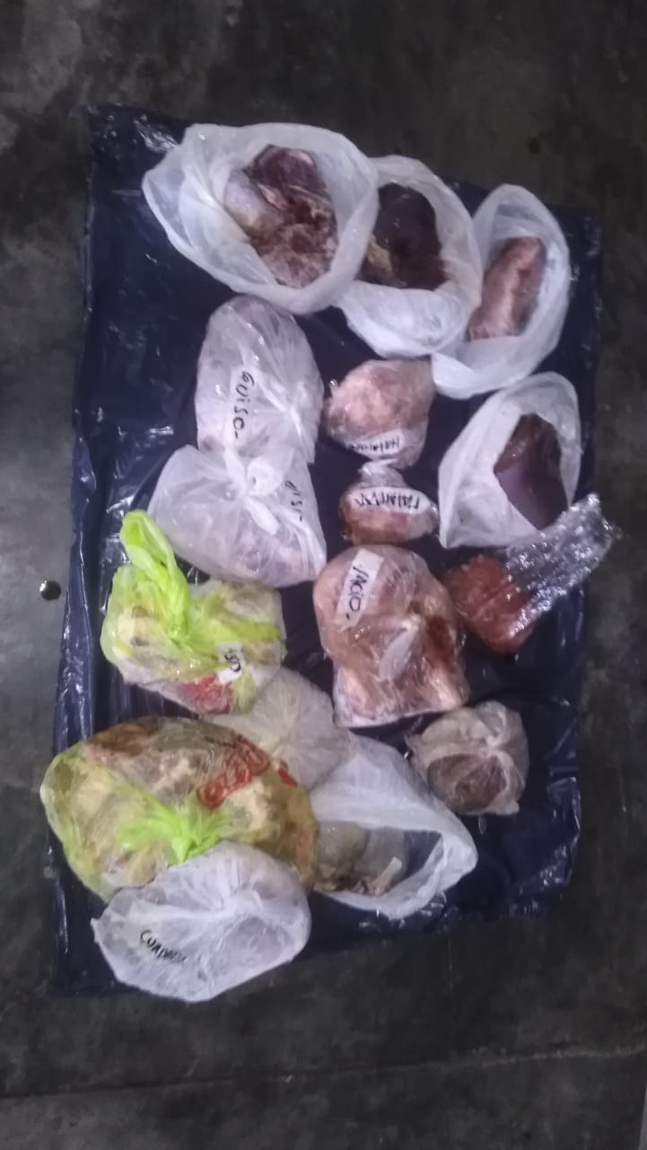 Allanamiento por un abigeato agravado cometido anoche en un campo de M