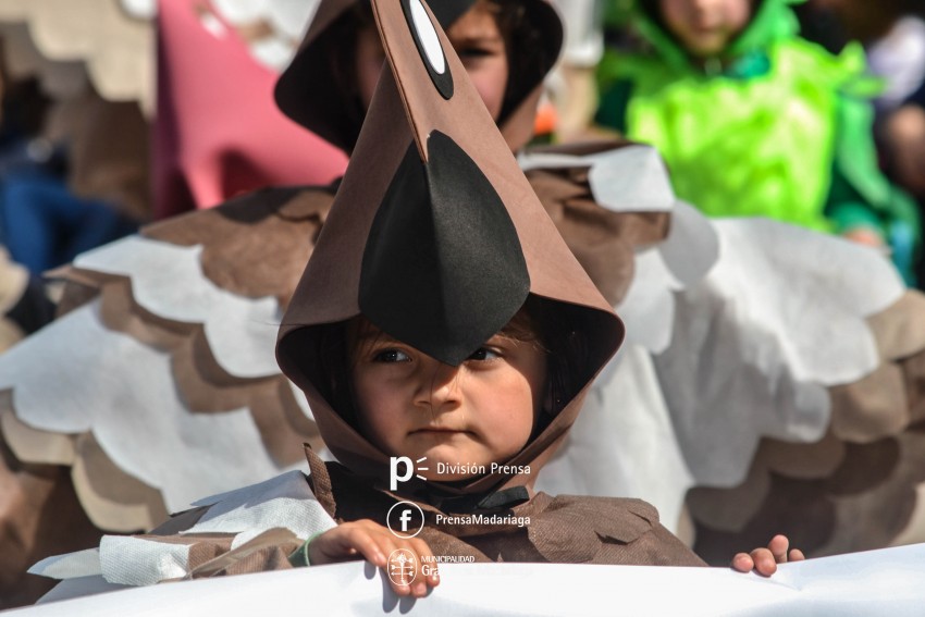 Estudiantina 2018: Galera de fotos de una tarde inolvidable