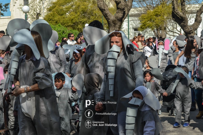 Estudiantina 2018: Galera de fotos de una tarde inolvidable