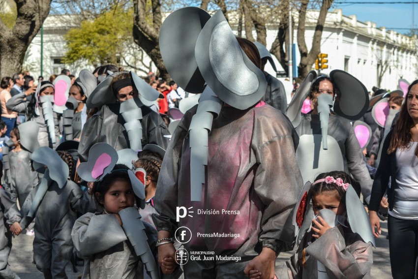 Estudiantina 2018: Galera de fotos de una tarde inolvidable