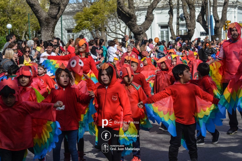 Estudiantina 2018: Galera de fotos de una tarde inolvidable