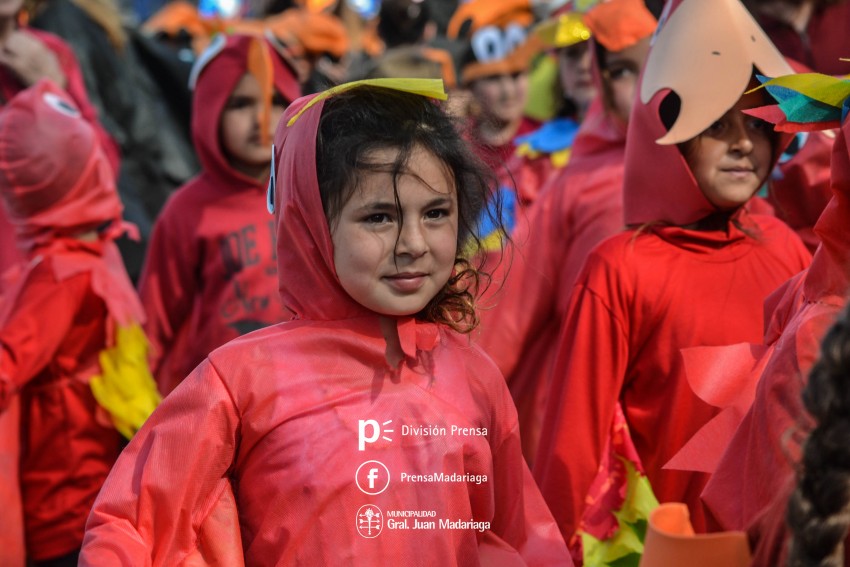 Estudiantina 2018: Galera de fotos de una tarde inolvidable