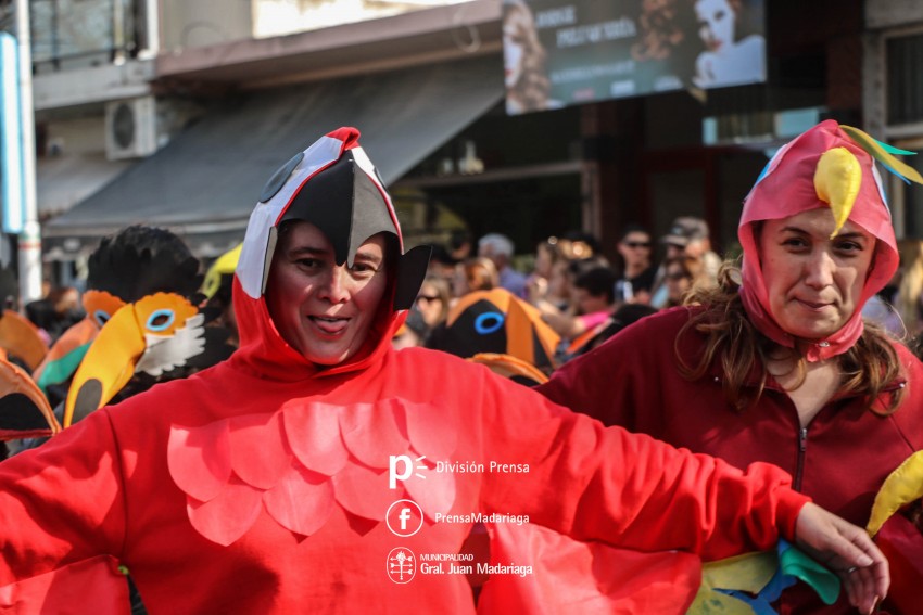 Estudiantina 2018: Galera de fotos de una tarde inolvidable