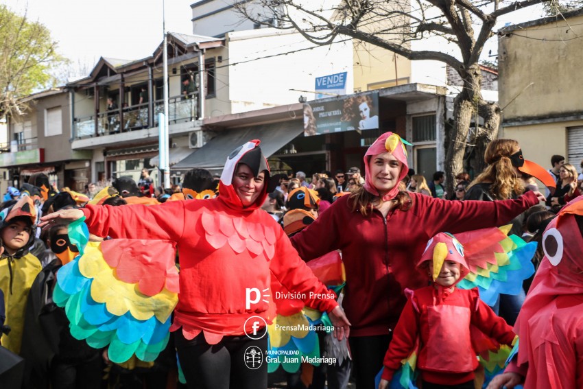 Estudiantina 2018: Galera de fotos de una tarde inolvidable