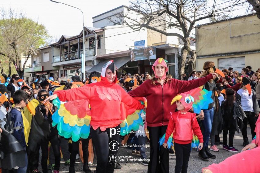 Estudiantina 2018: Galera de fotos de una tarde inolvidable