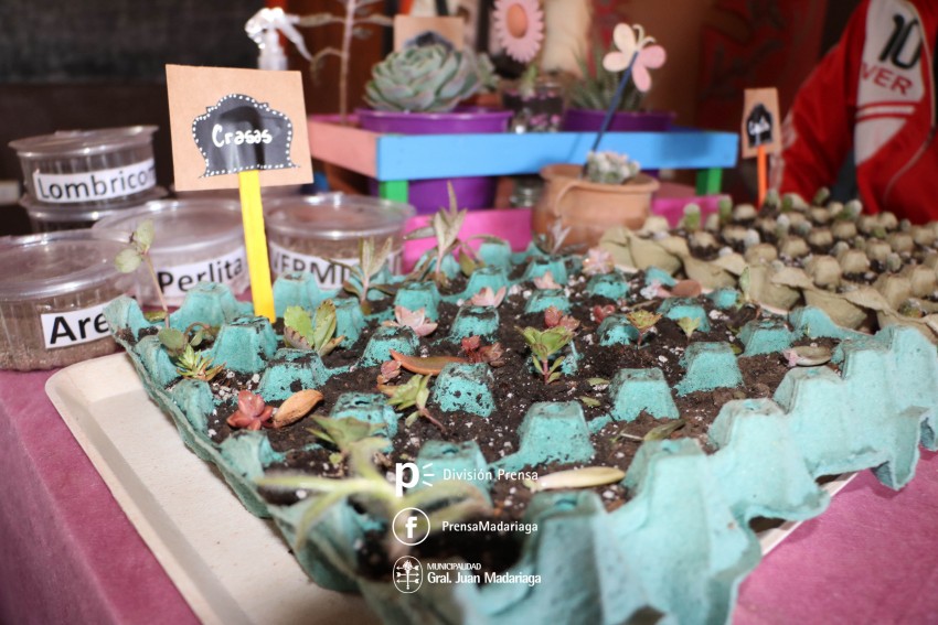 Se realizó el taller sobre cactus y suculentas