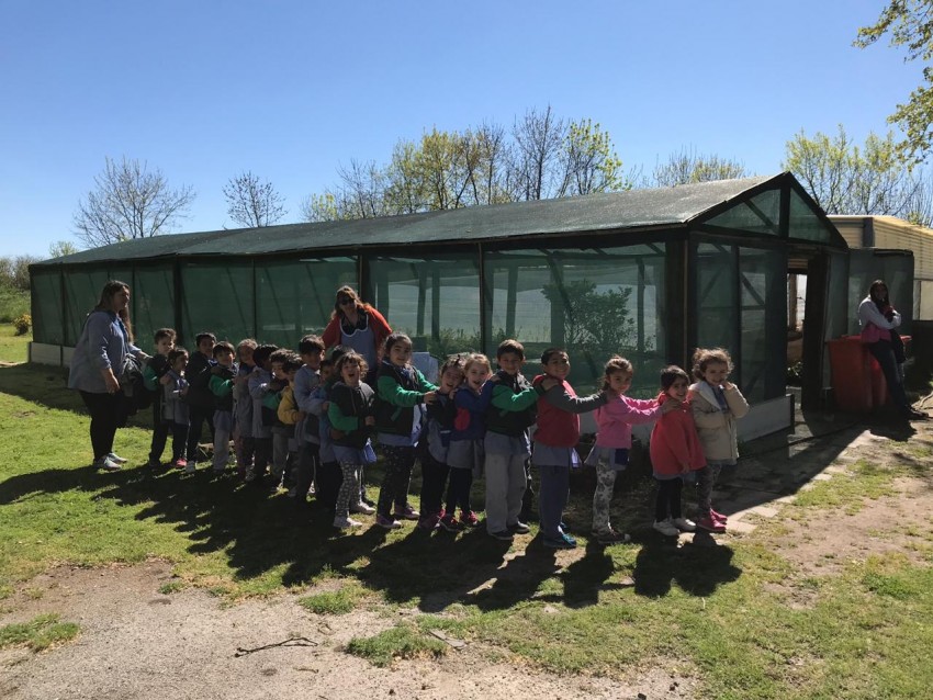 Alumnos de distintos jardines de infantes visitaron Medio Ambiente