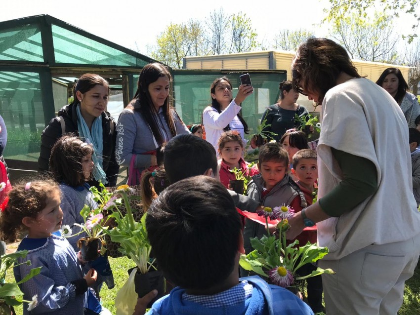 Alumnos de distintos jardines de infantes visitaron Medio Ambiente