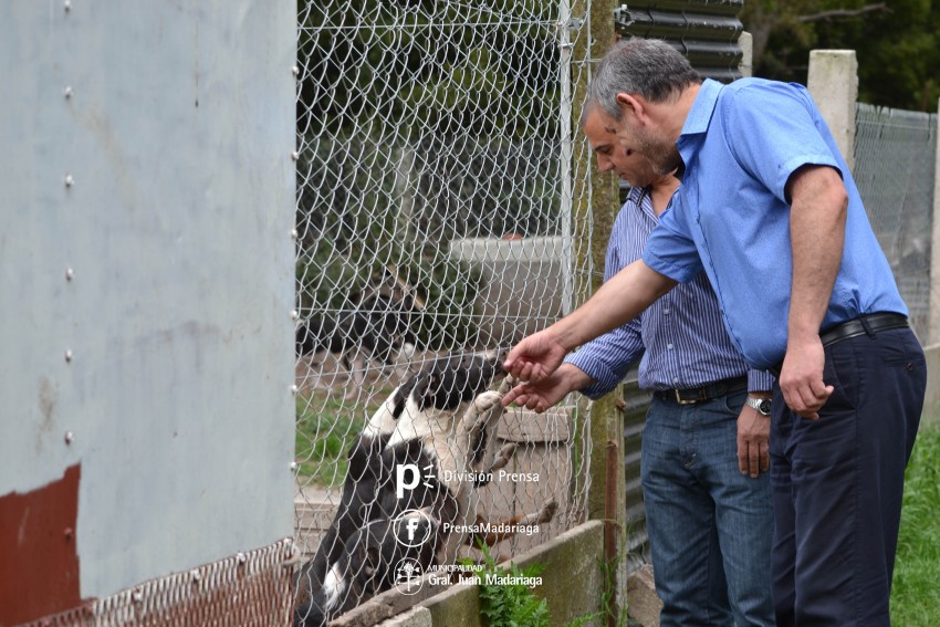 El intendente recorri el refugio municipal y anunci medidas a implem